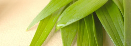 Продукт №1 для обезвоженной и склонной к сухости кожи «H. A. Serum увлажняющая сыворотка с гиалуроновой кислотой» от Almea