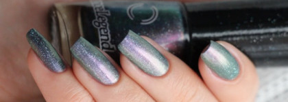 Лак для ногтей Dance Legend Holodays 850 "Different View" со стемпингом  Moyou London Mother Nature 14