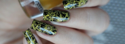 Dance Legend коллекция Stamping : оттенки 6, 7, 8 и 12