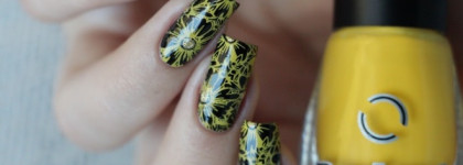 Dance Legend коллекция Stamping : оттенки 6, 7, 8 и 12