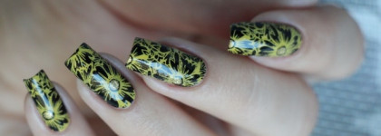 Dance Legend коллекция Stamping : оттенки 6, 7, 8 и 12