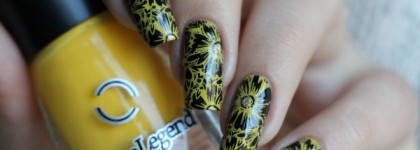 Dance Legend коллекция Stamping : оттенки 6, 7, 8 и 12