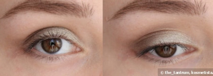 Моно тени Maybelline New York #06 Ashy Wood & Eva Mosaic "Aqua metal" #02
