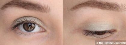 Моно тени Maybelline New York #06 Ashy Wood & Eva Mosaic "Aqua metal" #02