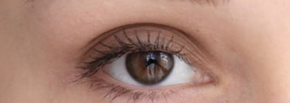 Моно тени Maybelline New York #06 Ashy Wood & Eva Mosaic "Aqua metal" #02