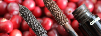 Обнаружить у себя ресницы с Chanel