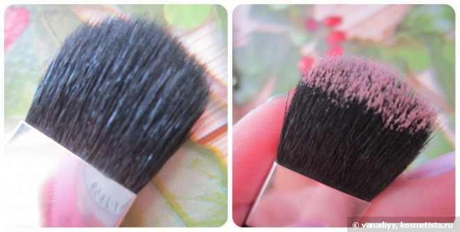 Прекрасный морозный румянец от Limoni Compact Blush, тон #2