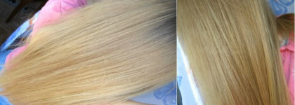 Любимая облепиховая серия от Натуры Сибирики: скраб + шампунь