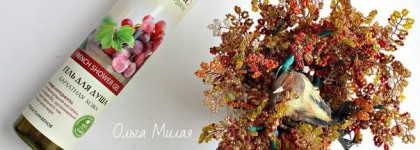 Попробовала только три средства от Ecolab, а это уже любовь. Шампунь, гель и маска для волос