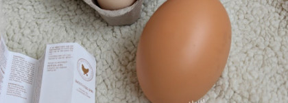 Яичко у Holika Holika не простое, а золотое. Мой пост о пенке для умывания Holika Holika Sleek Egg Skin Cleansing Foam