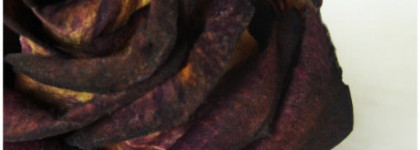 Красная Анемона от Beyu