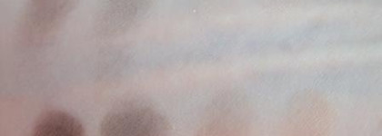 Любительницам нюда - Revlon Colorstay 16 Hour Eye Shadow Quad № 500 Addictive