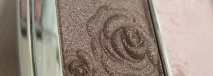 Забытое старое - Dior Garden Clutch 002 Granville Garden