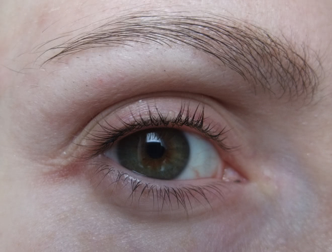 Maybelline Brow drama sculpting brow mascara medium brown