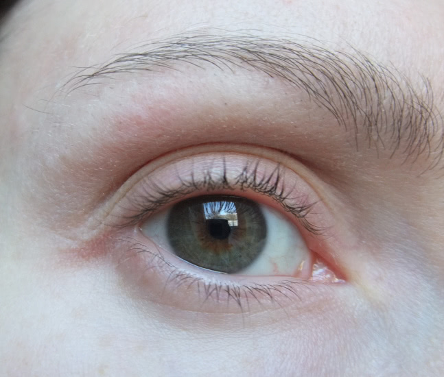 Maybelline Brow drama sculpting brow mascara medium brown