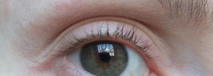 Maybelline Brow drama sculpting brow mascara medium brown