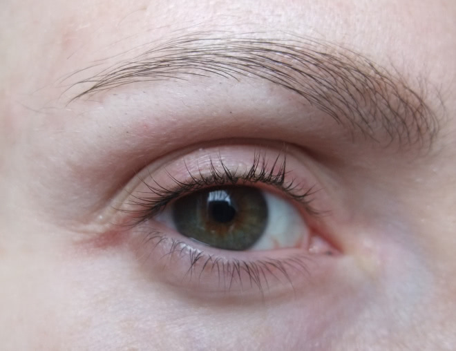 Maybelline Brow drama sculpting brow mascara medium brown