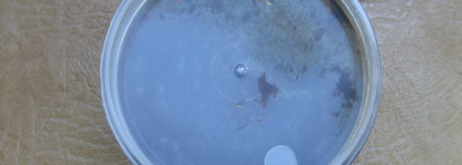 Умывание со СпивакЪ