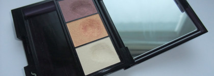 Shiseido Luminizing satin eye color trio RD 299 Beach Grass