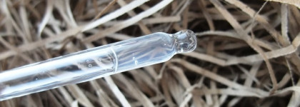 The Ordinary Niacinamide 10% +Zinc 1%