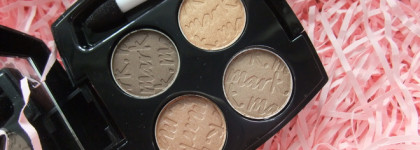 Avon Mark Epic intense eyeshadow mini palette "Art of the nudes"