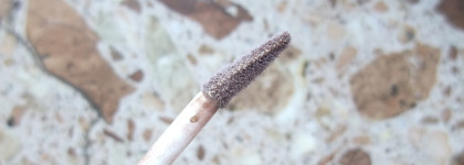 Жидкие тени Luxvisage Metal Hype оттенок 6