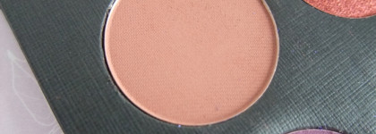 Sigil Inspired Tammy Tanuka Степенный королевский павлин