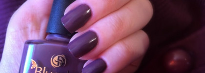 Осенне-зимний друг Bluesky Weekly Polish #029