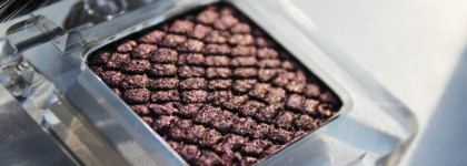 Catrice "Feathered Fall" Collection Fall 2014 Limited Edition Luxury Eyeshadow C02 Plum Plumes