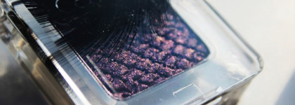 Catrice "Feathered Fall" Collection Fall 2014 Limited Edition Luxury Eyeshadow C02 Plum Plumes