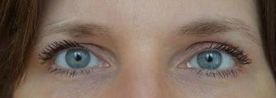 L'Oreal False Lash Papillon Mascara, black