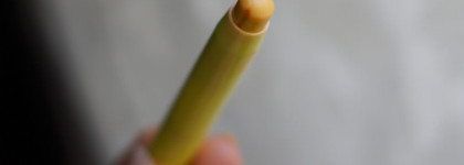 Корейские зверушки от Tony Moly