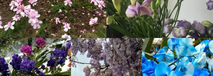 Мой любимый аромат для дома - «Victoria’S Secret Love Spell»