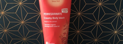 Пять китов домашнего SPA