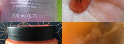 Пять китов домашнего SPA