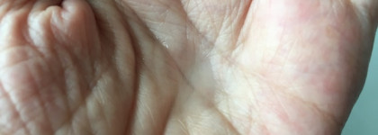 Что живет на полочке мужа