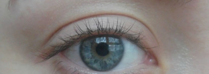 История о том, как одни тени от Catrice вдохновили меня на макияж