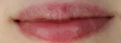 Бальзам для губ "Мед и Мюсли Био" от Yves Rocher