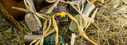 В мечтах о Калифорнии в этот зимний день. Naillook Bio Polish