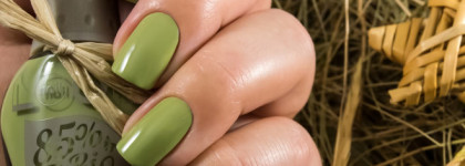 В мечтах о Калифорнии в этот зимний день. Naillook Bio Polish