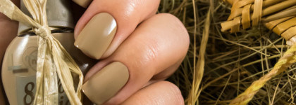 В мечтах о Калифорнии в этот зимний день. Naillook Bio Polish