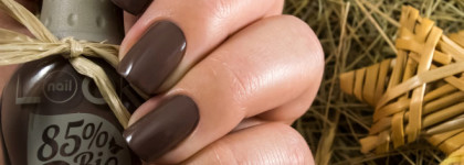 В мечтах о Калифорнии в этот зимний день. Naillook Bio Polish