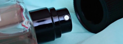 Дюшес с D&G Anthology L`imperatrice 3