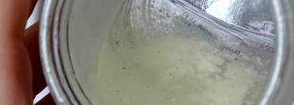 Натуральное кокосовое масло Now Solutions - Coconut OIL 100% natural