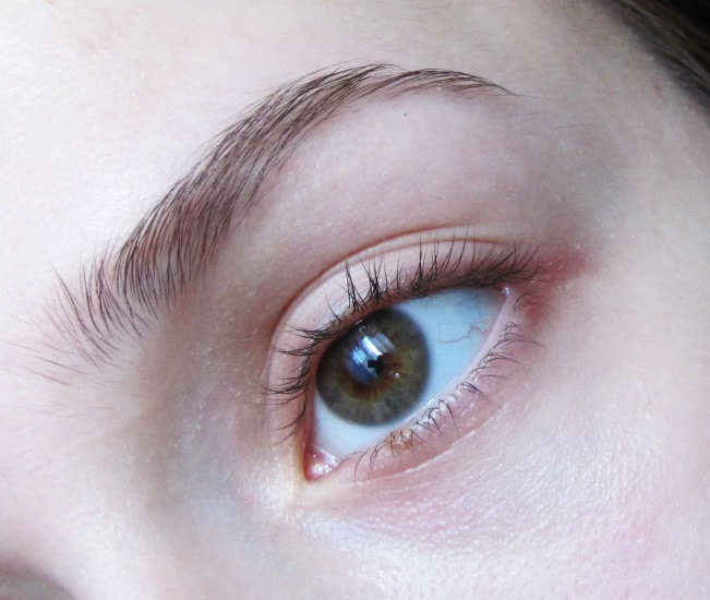 3 в 1 от Giorgio Armani Eye & Brow Maestro; 2 Wenge Wood, 5 Auburn