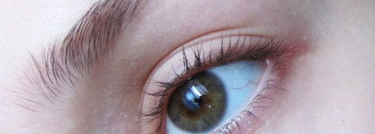 3 в 1 от Giorgio Armani Eye & Brow Maestro; 2 Wenge Wood, 5 Auburn