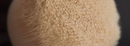 Chanel Vitalumiere Loose Powder Foundation with mini kabuki brush SPF 15 #10