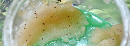 Два средства в борьбе за красивую подтянутую кожу тела вместе с Collistar