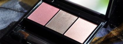 Shiseido Luminizing Satin Eye Color Trio RD 711