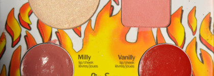 Такая дерзкая - theBalm Balm Jovi Rockstar Face Palette